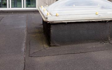 disadvantages of Newfield flat roofs