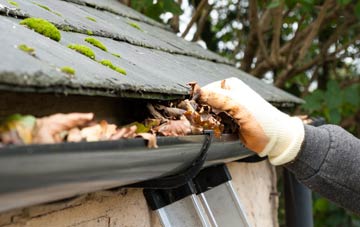 gutter cleaning Newfield